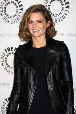 Stana Katic