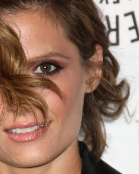 Stana Katic Ordförande — Stockfoto