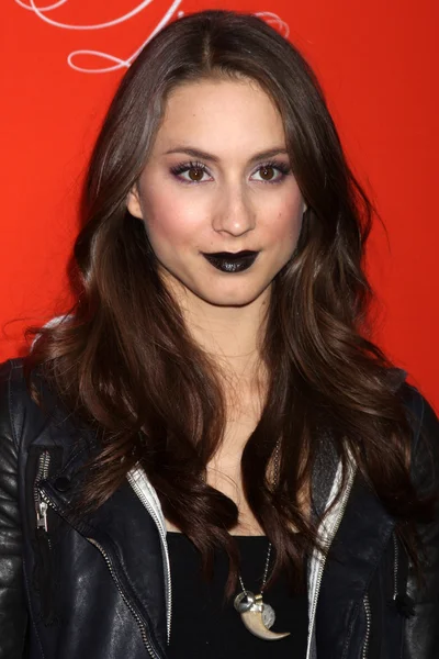 Bellisario troïen — Photo