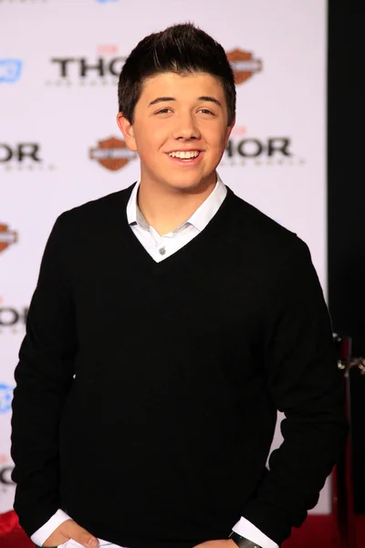 Bradley Stewart Perry — Stockfoto