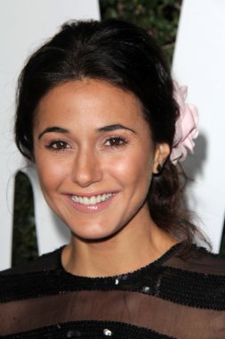 Emmanuelle Chriqui