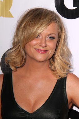 Amy Poehler