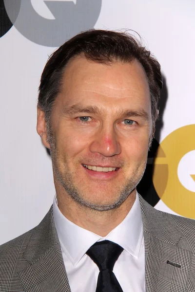 David Morrissey — Stockfoto