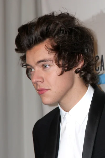 Harry-Stile — Stockfoto