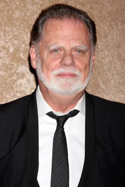 Taylor Hackford — Stock Photo, Image