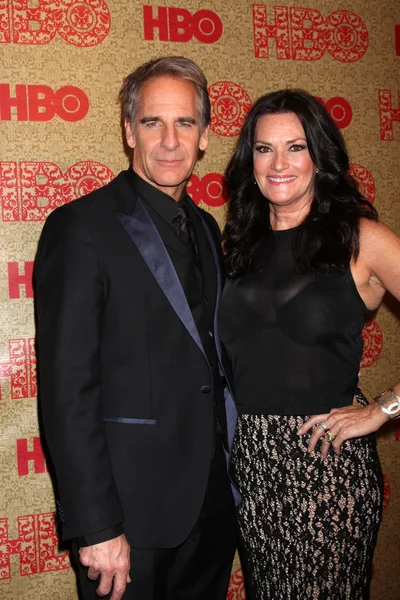 Scott bakula, chelsea fältet — Stockfoto