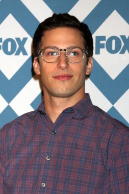 Andy Samberg