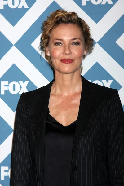 Connie Nielsen — Stok fotoğraf