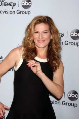 Ana Gasteyer