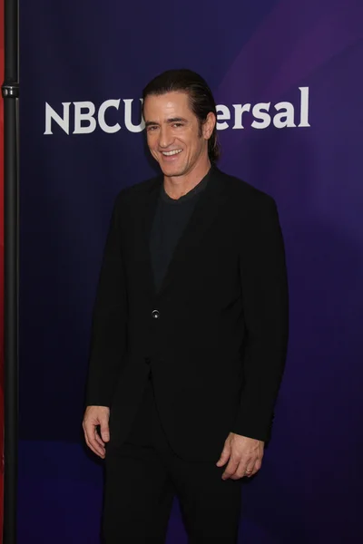 Dermot Mulroney — Fotografia de Stock