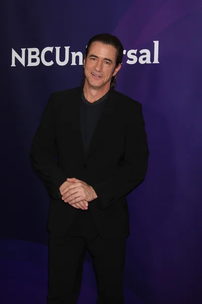 Dermot Mulroney — Stock Photo, Image