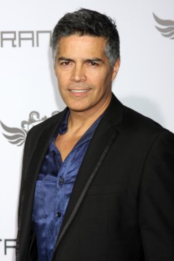 Esai morales