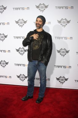 Jonathan Schaech