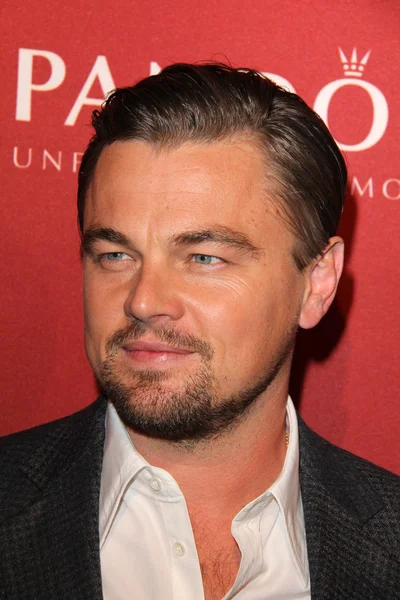 Leonardo DiCaprio — Stock Photo, Image