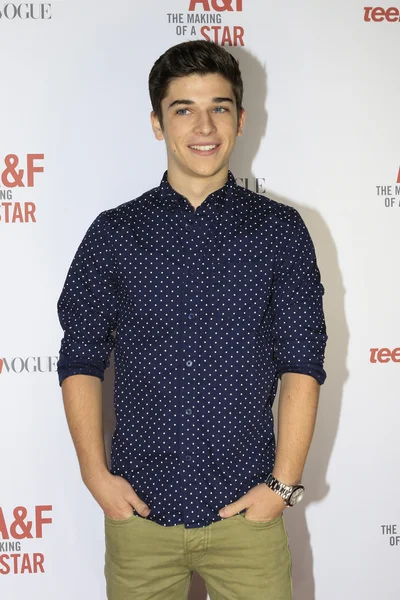 Sean O'Donnell — Stock Photo, Image