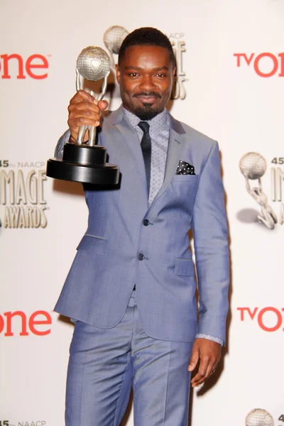 David Oyelowo — Stockfoto