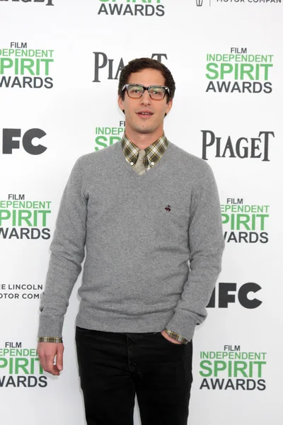 Andy Samberg — Stockfoto