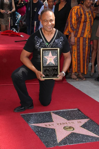 Ray Parker Jr. — Foto de Stock