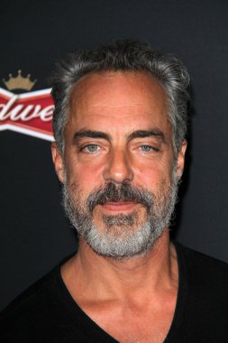 Titus Welliver
