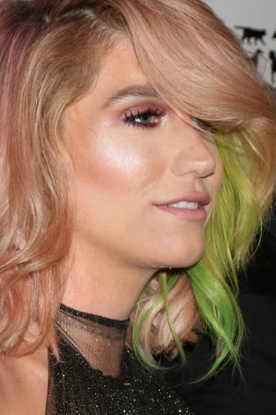 Kesha. — Foto de Stock
