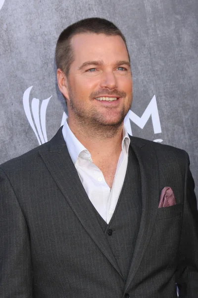 Chris O'Donnell — Stock Photo, Image