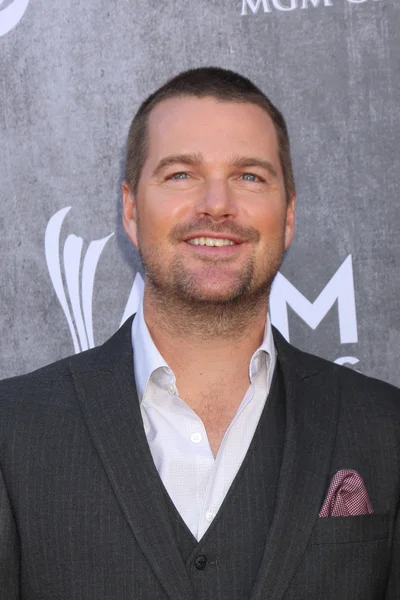 Chris O'Donnell — Stockfoto