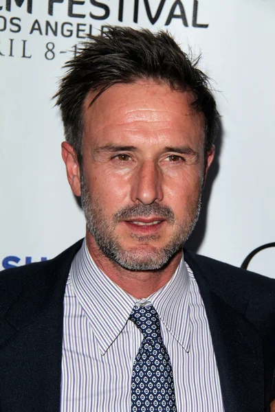 David Arquette — Stockfoto