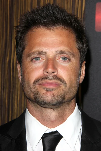 David Charvet — Stockfoto