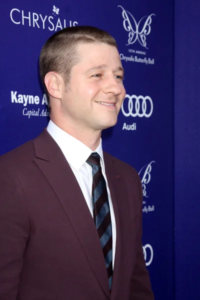 Benjamin McKenzie. — Fotografia de Stock