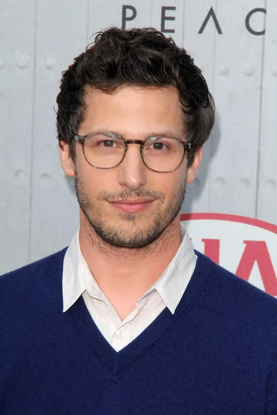 Andy Samberg — Stock Fotó