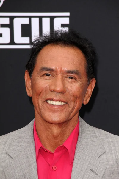 Wes Studi — Photo