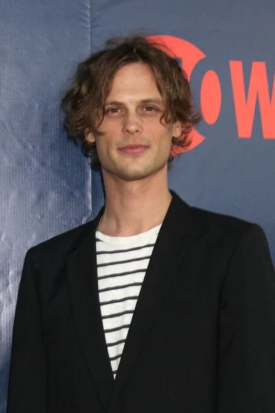 Matthew gubler cinza — Fotografia de Stock