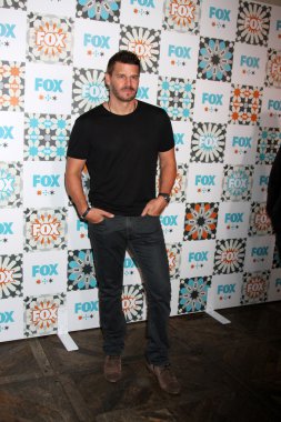 David Boreanaz