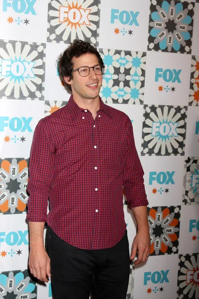 Andy Samberg — Zdjęcie stockowe