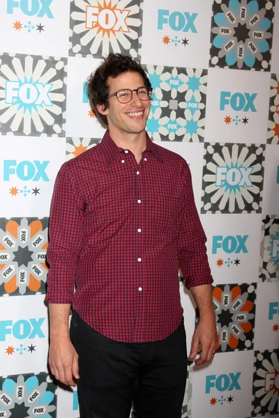 Andy Samberg — Stockfoto