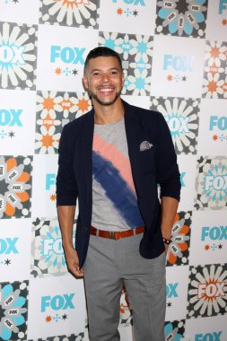 Wilson cruz