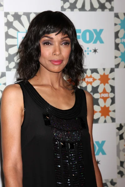 Tamara Taylor — Stock Photo, Image