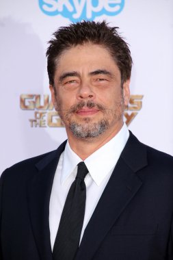 Benicio Del Toro