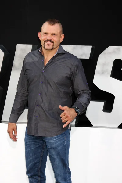 Chuck Liddell. — Fotografia de Stock