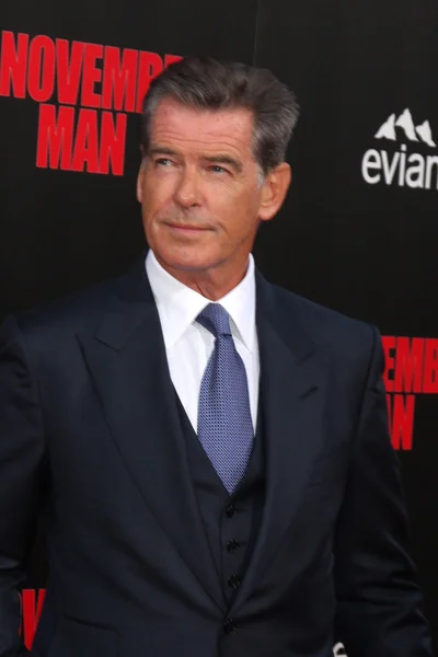 Brosnan pierce — Fotografia de Stock