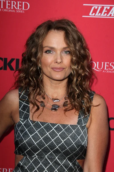 Dina Meyer-prosjektet – stockfoto