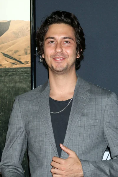 Los Angeles Nov Nat Wolff Festivalu Afi Power Dog Premiere — Stock fotografie