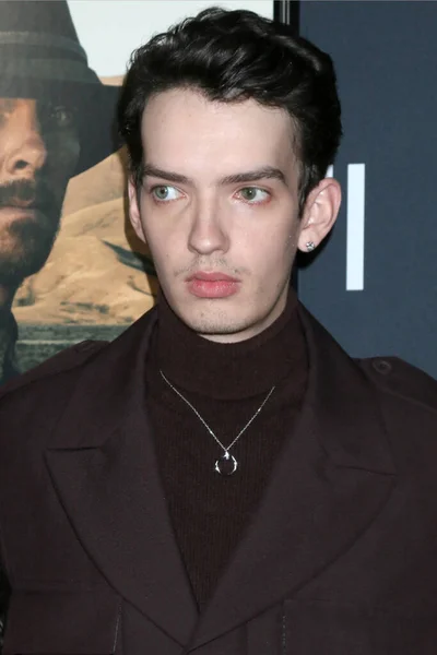 Los Angeles Nov Kodi Smit Mcphee Afi Fest Power Dog — Fotografia de Stock