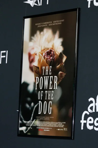 Los Angeles Nov Atmosfeer Het Afi Fest Power Dog Premiere — Stockfoto