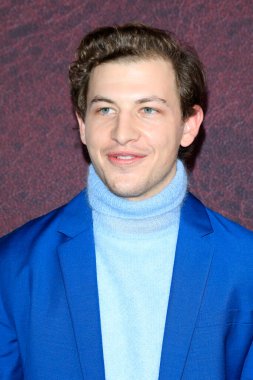 LOS ANGELES - 12 Aralık 2021 'de Tye Sheridan, The Tender Bar Prömiyeri' nde TCL Çin Tiyatrosu IMAX 'ta.