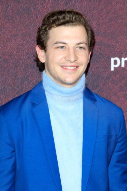 LOS ANGELES - 12 Aralık 2021 'de Tye Sheridan, The Tender Bar Prömiyeri' nde TCL Çin Tiyatrosu IMAX 'ta.