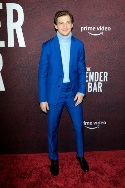 LOS ANGELES - 12 Aralık 2021 'de Tye Sheridan, The Tender Bar Prömiyeri' nde TCL Çin Tiyatrosu IMAX 'ta.