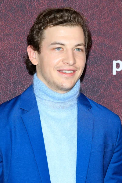 LOS ANGELES - 12 Aralık 2021 'de Tye Sheridan, The Tender Bar Prömiyeri' nde TCL Çin Tiyatrosu IMAX 'ta.