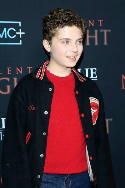 Los Angeles Nov Roman Griffin Davis Silent Night Special Screening — стокове фото