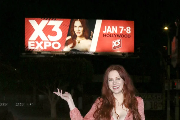 Los Angeles Dec Maitland Ward Promotes Optreden Expo Hollywood Vermont — Stockfoto